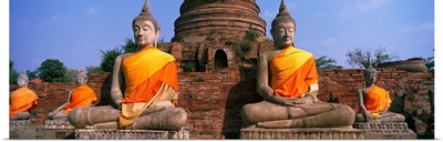 Buddha Statues near Bangkok Thailand