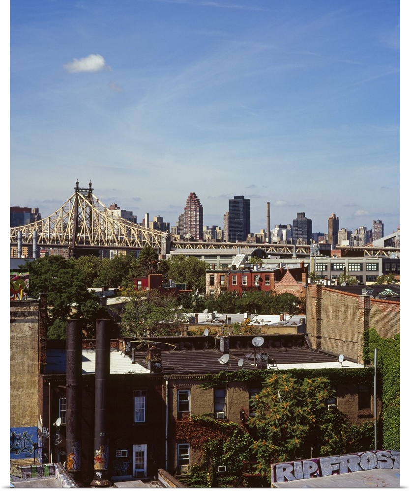 Buildings in a city, Brooklyn, New York City, New York State, USA
