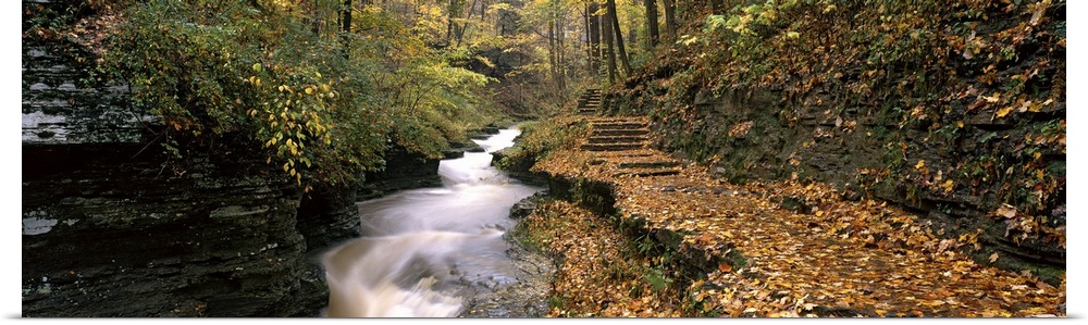 Buttermilk Creek Ithaca NY