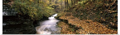 Buttermilk Creek Ithaca NY