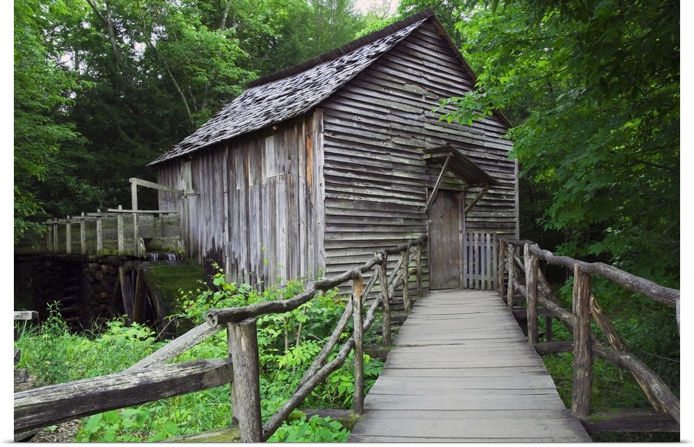 Picture taken of an old mill that has a small bridge path leading up to and is surrounded by lush green trees and foliage.