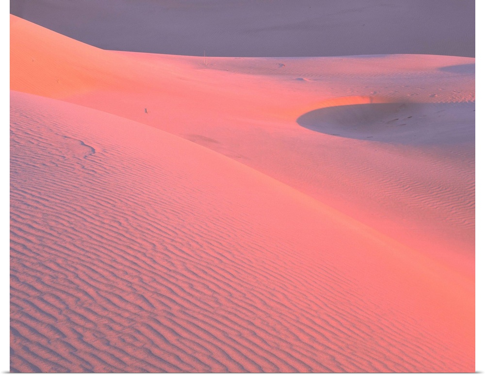 California, Algodones Dunes, Rippled sand dune in the desert