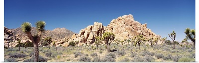 California, Joshua Tree National Monument, Rock formation in a arid landscape