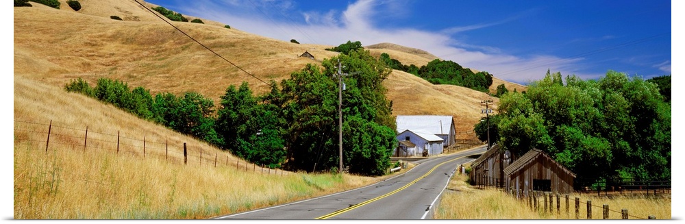 California, Sonoma County, road through farmland