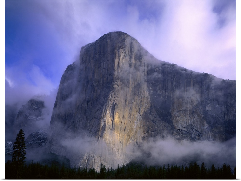 Large photo on canvas of a mountain in Yosemite bathed in fog with a dense forest below it.