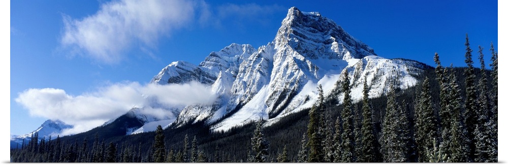 Canada, Alberta, Rocky Mountains, winter
