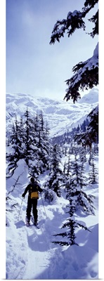 Canada, British Columbia, cross country skiing