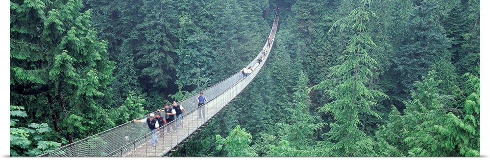 Long horizontal photo on canvas of people walking across a long bridge that runs through the top of a forest.