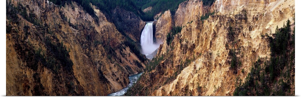 Canyon Yellowstone National Park WY