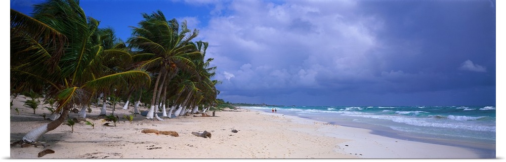 A photograph is taken looking down an ocean coast with palm trees lining the back of the beach to the left.