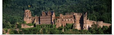 Castle on a hillside, Heidelberg, Baden-Wurttemberg, Germany