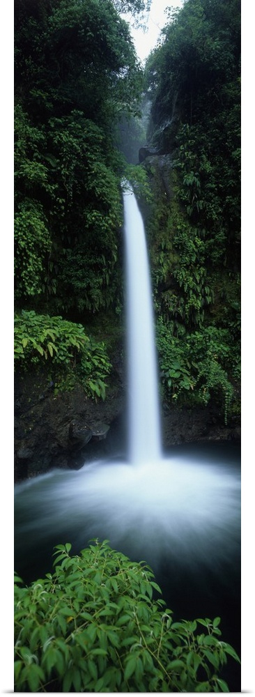 Vertical canvas print of a narrow but powerful waterfall rushing down from a tropical forest.
