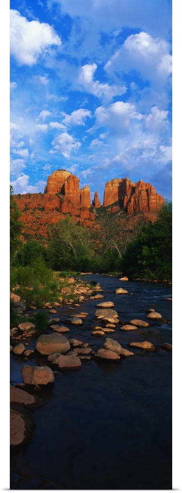 Giant, vertical photograph of a rocky river in Oak Creek Red Rock Crossing, in Arizona, leading toward Cathedral Rock in t...