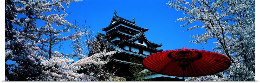Beautiful trees are pictured surrounding a Japanese castle with a red umbrella near the bottom right hand side of the phot...