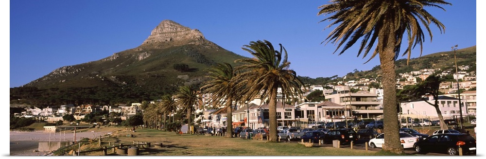 City at the waterfront, Lion's Head, Camps Bay, Cape Town, Western Cape Province, South Africa