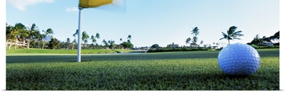 Close Up Golf Ball and Hole Hawaii