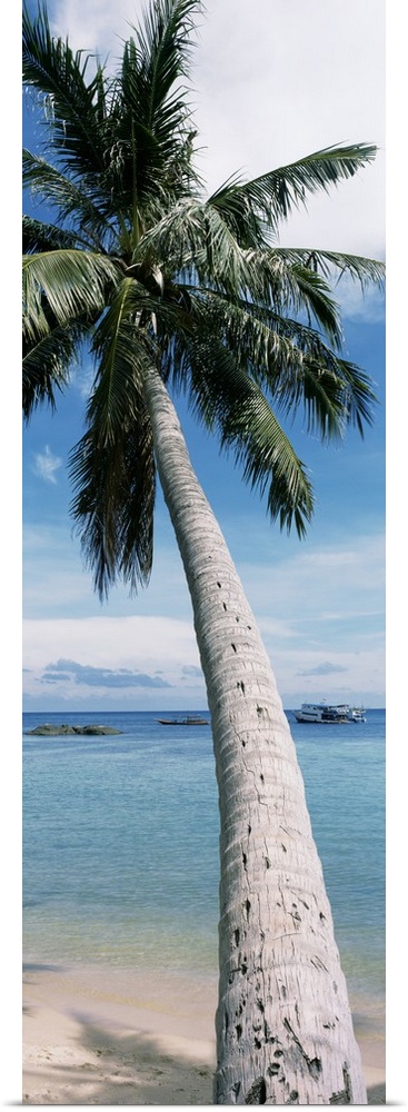 A vertical, panoramic shaped canvas of a single tree in front of a tropical ocean and anchored boat.