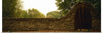 Close-up of a stone wall, County Kilkenny, Republic Of Ireland