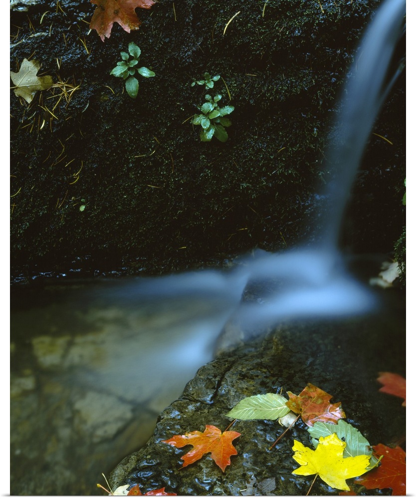 Photograph of small waterfall cascading into a small pond with large rock covered in autumn leaves.