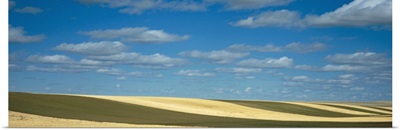 Clouded sky over a striped field, Geraldine, Montana
