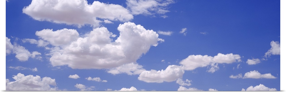 Giant, landscape photograph of a light blue sky with large, fluffy, white clouds.
