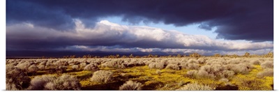 Clouds Mojave Desert CA