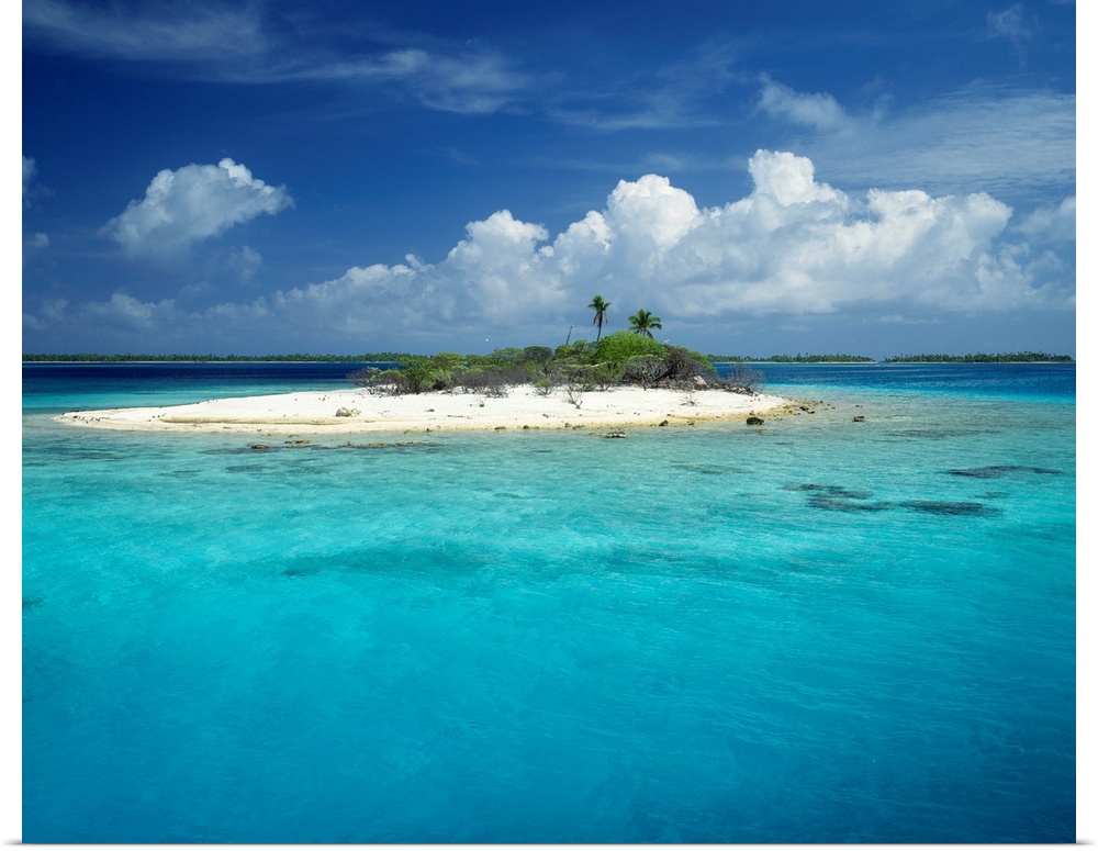 A lone island cover with two palm trees and shrubby bushes floats above the clear waters in the middle of a tropical reef.