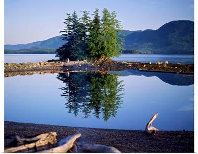 Coastal scene with pine trees and water reflection, Inside Passage, Alaska