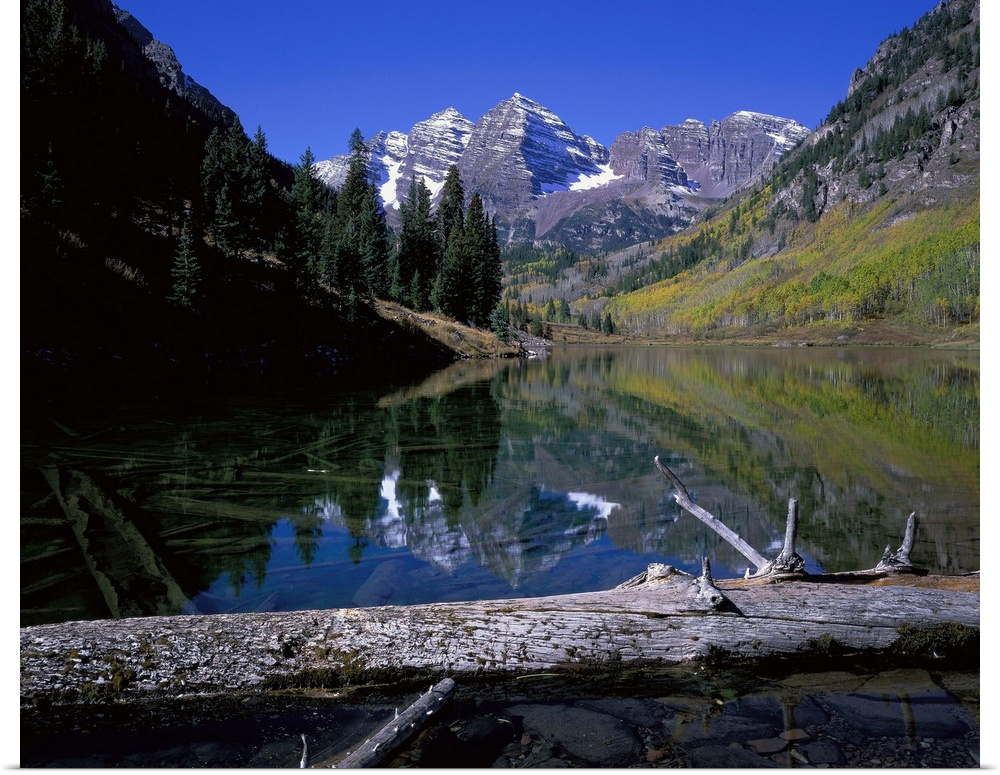 Giant photograph of Maroon Bells, Colorado (CO) on a sunny day with a fallen tree trunk and lake in the foreground with an...