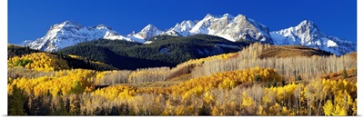 Colorado, Rocky Mountains, aspens, autumn
