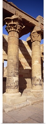 Columns in a temple, Temple Of Isis, Philae, Agilika Island, Egypt
