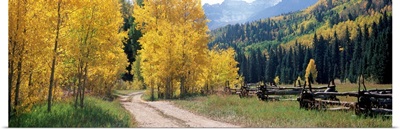 Country road passing through mountain, Ridgway, Ouray County, Colorado