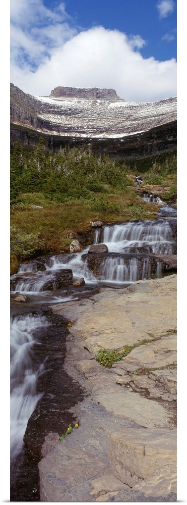 Creek flowing in a park, Haystack Creek, Garden Wall, Continental Divide, US Glacier National Park, Montana, USA