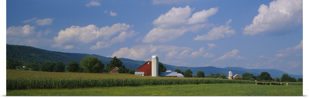 Cultivated field in front of a barn, Kishacoquillas Valley, Pennsylvania