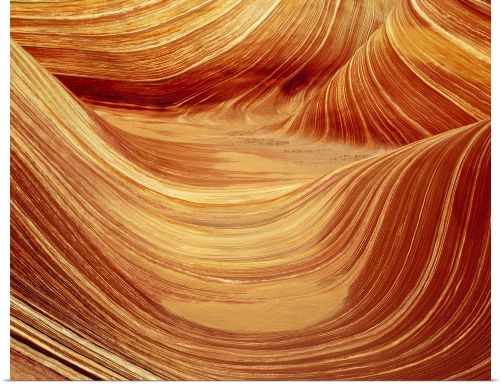 Large photograph of curved rock formations in warm tones.