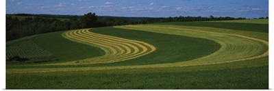 Curving crops in a field, Illinois