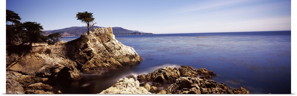 Panoramic photograph of rocky shoreline and cliff with single tree growing near the edge.