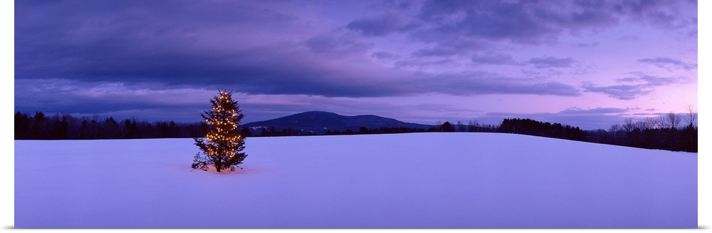 This panoramic photograph captures the most festive tree in New England with the sunset reflecting of the winter clouds in...