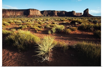 Desert Landscape Of Monument Valley