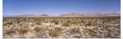 Desert nr Death Valley CA