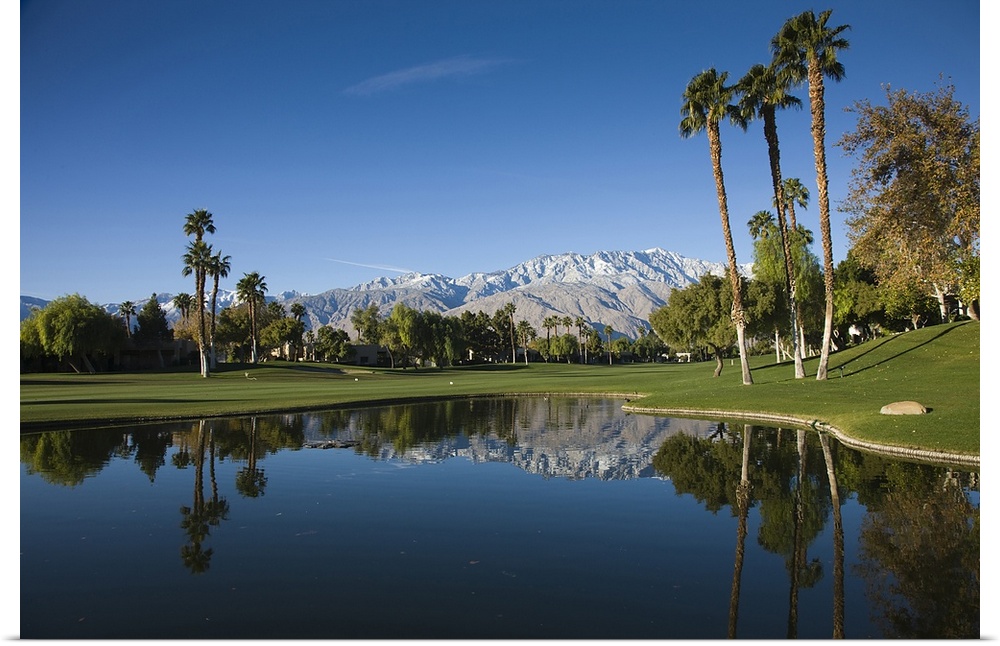 Big, horizontal photograph of water surrounded by trees and palms at the Desert Princess Country Club.  Mountains can be s...