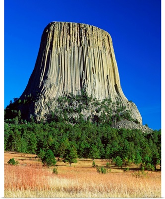 Devils Tower, blue sky, Devils Tower National Monument, Wyoming