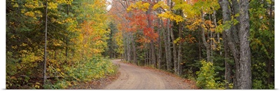 Dirt road passing through autumn forest, Keweenaw Peninsula, Michigan,