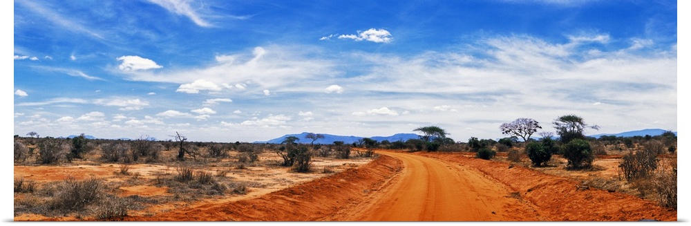 Dirt road passing through Tsavo East National Park, Kenya.