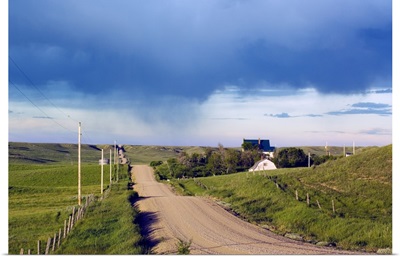 Dirt road through hilly farmland, distant storm, Missouri Breaks, Montana