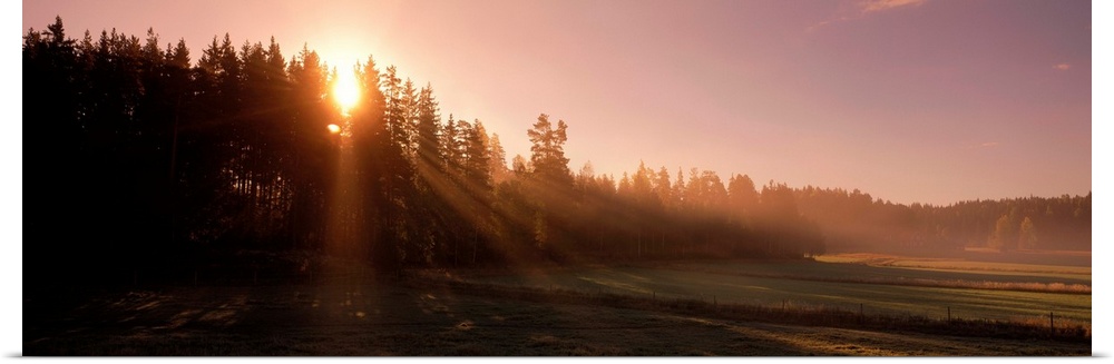 Early Morning Sun over Forest and Fields Sweden