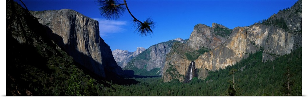 Lush green trees fill the valley of Yosemite National Park with a large waterfall and other rock cliffs in the background.