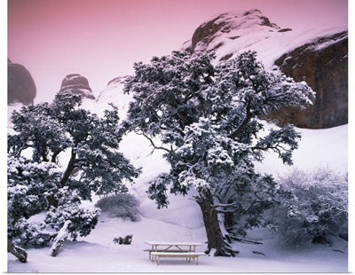 Empty bench under snow covered trees, Arches National Park, Utah,