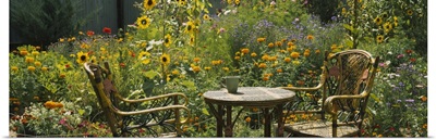Empty chairs and a table in a garden, Taos, New Mexico