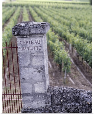 Entrance of a vineyard, Chateau La Clotte, Bordeaux, France